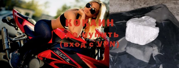 spice Болотное