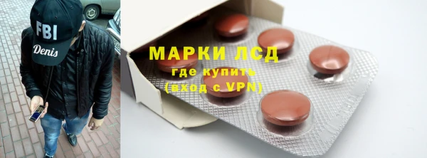spice Болотное