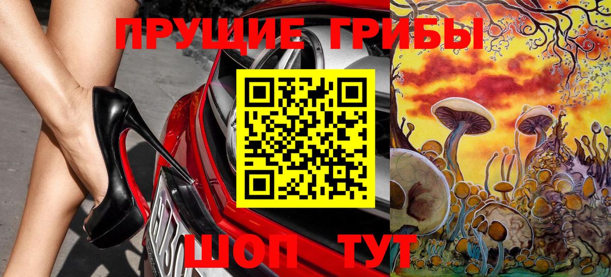 Алексин  где можно купить   Вход с VPN  Галлюциногенные грибы Psilocybe 