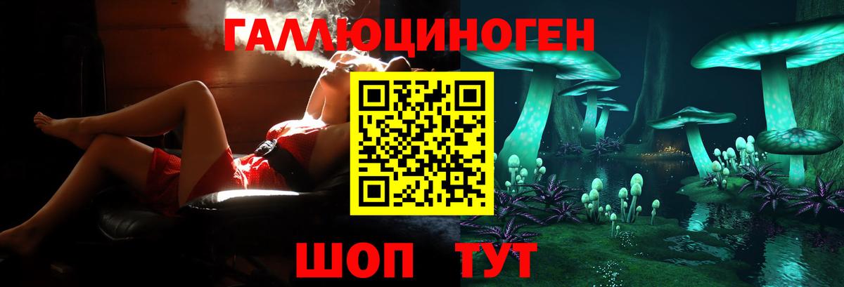 Псилоцибиновые грибы Cubensis Алексин